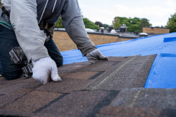 Best Flat Roof Repair Services  in Orion, IL
