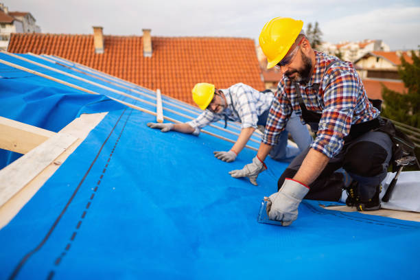 Best New Roof Installation  in Orion, IL