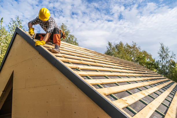 Best Roof Waterproofing Services  in Orion, IL