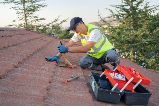 Best Residential Roofing Contractor  in Orion, IL