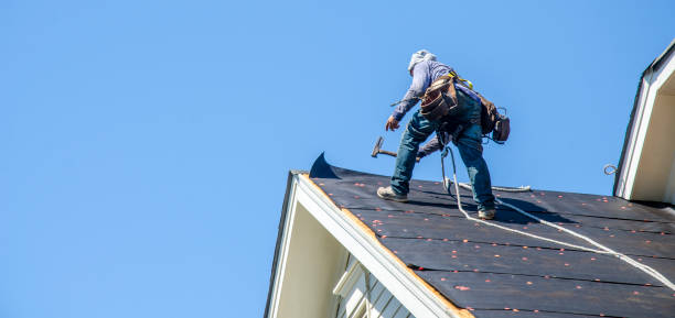 Best Roof Replacement Cost  in Orion, IL