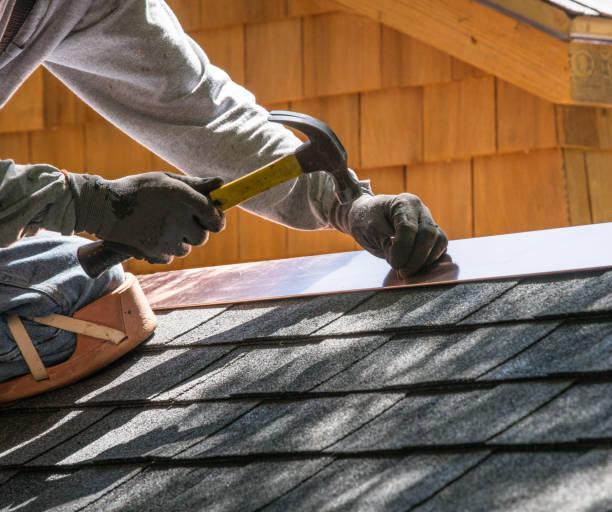 Roof Gutter Cleaning in Orion, IL